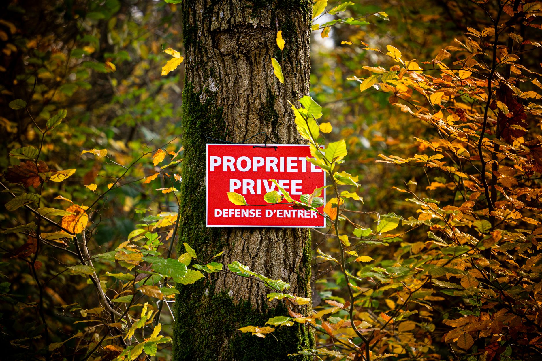Détective privé à Champigny-sur-Marne